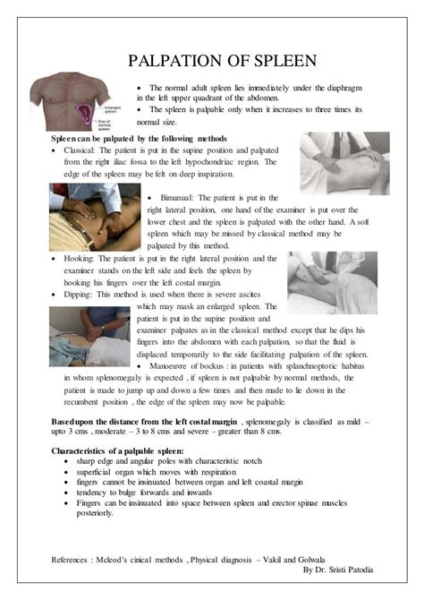 spleen exam instructions pdf